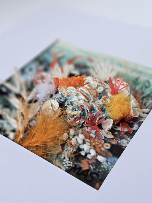 Regrowth 1 Lost and found collection Michele Sletcher Art Australian abstract coral reef artist