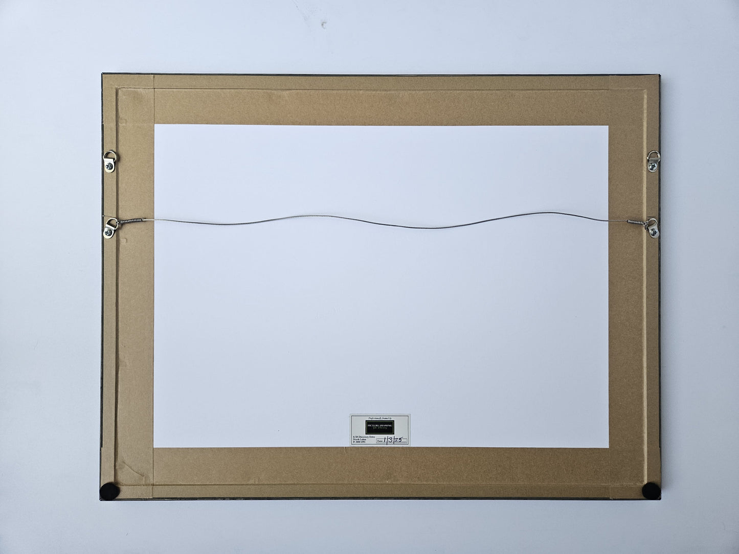 Sletcher Michele Wild Reef Party australian coral reef artist abstract artworks