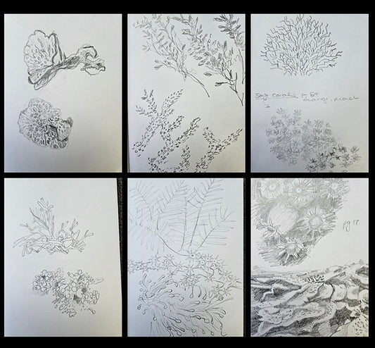 My love of drawing