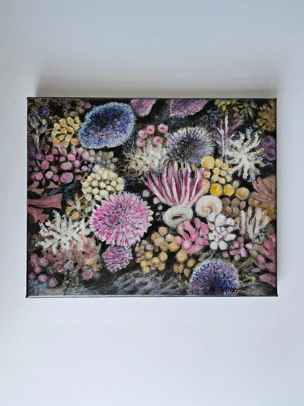 Discovered Ode to the Reef Collection Michele Sletcher Art Australian Abstract artist artwork