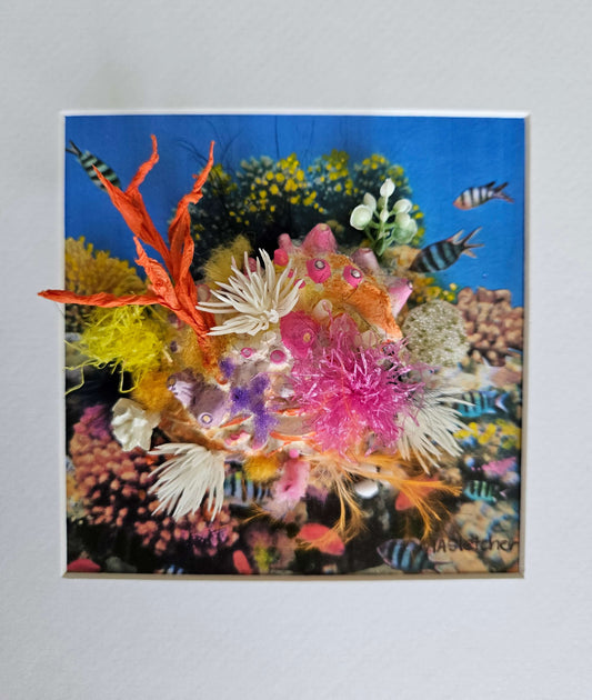 Joy Lost and found collection Michele Sletcher Art Australian abstract coral reef artist