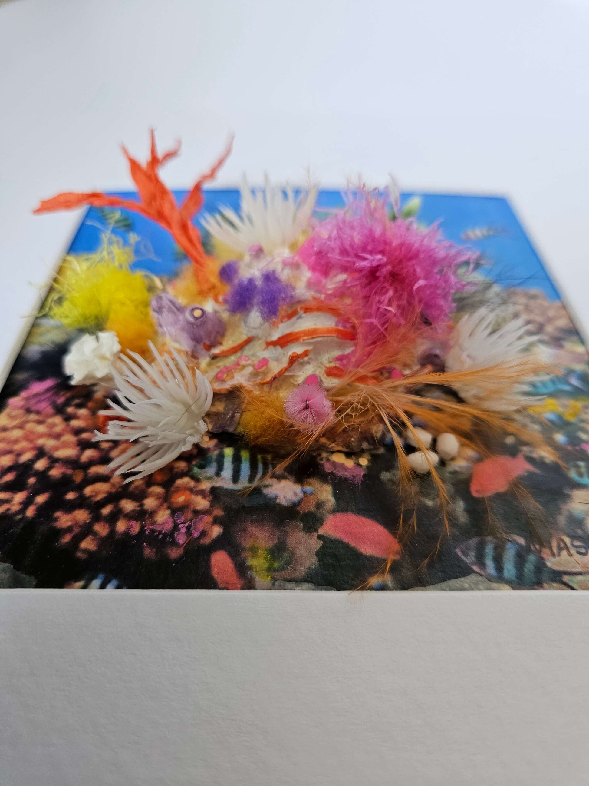 Joy Lost and found collection Michele Sletcher Art Australian abstract coral reef artist