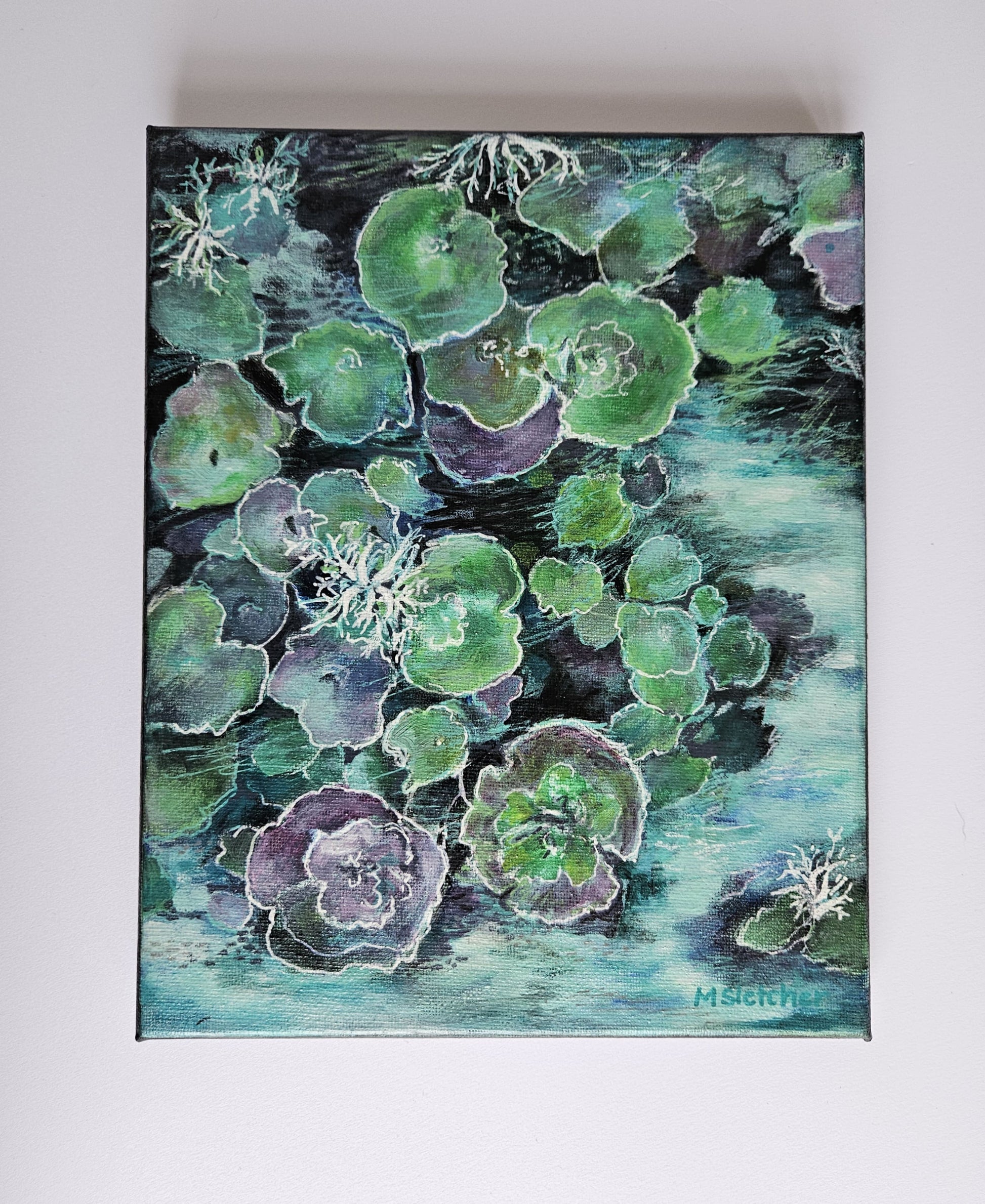 Lush ode to the reef collection Michele Sletcher Art Australian abstract coral reef artist