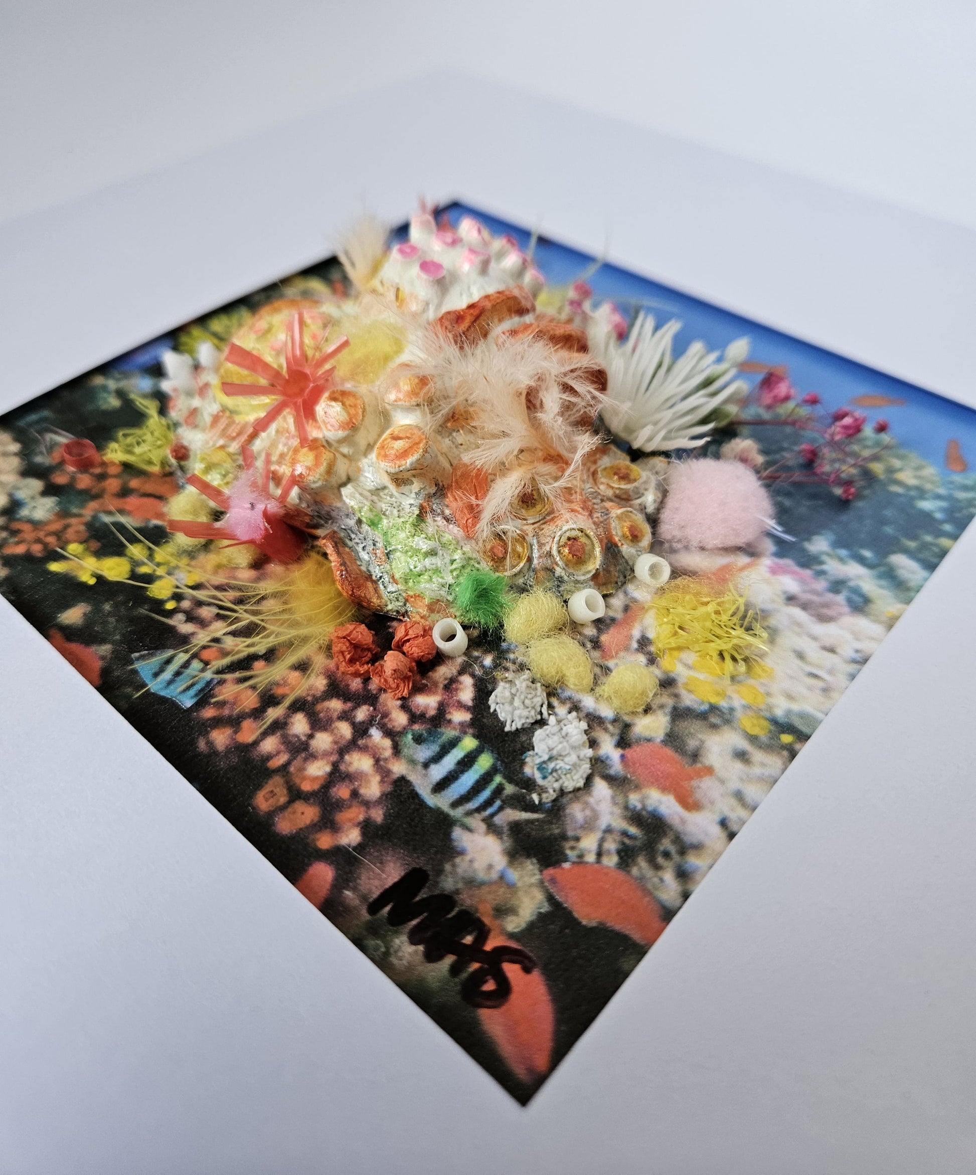 Surprise Lost and found collection Michele Sletcher Art Australian abstract coral reef artist